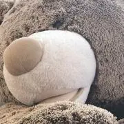 てっこの画像