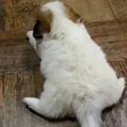 くるとの画像
