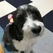 リーガ( ¨̮ )の画像