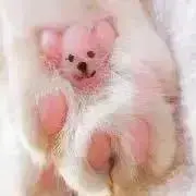 かなっぺ