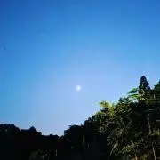 なぎの画像