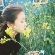 いくらの画像