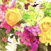 hanaの画像