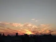 ショウの画像