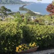P1221の画像