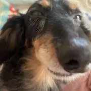 匿名さんの画像