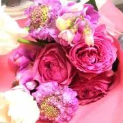 花ぴよ