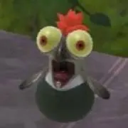 ぼんの画像
