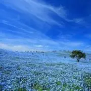 ぱに⭐おまとめはコメントからお願いしますの画像
