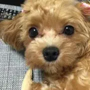 まる