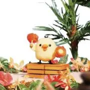 ぽんの画像