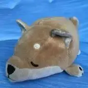 しばんばの画像