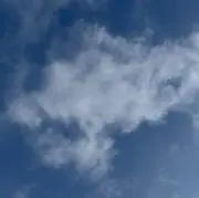 おかきの画像