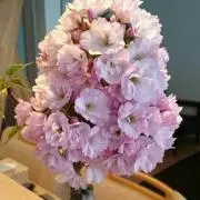 mama_tomoの画像