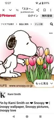 ✩おいりの画像