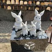 あさ