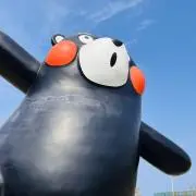 きなこの画像
