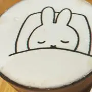ちょこの画像