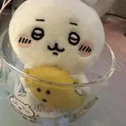 あーちゃんの画像
