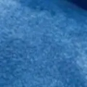 せたの画像