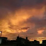 まぁの画像
