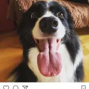 maribooon