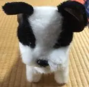 ゆうの画像