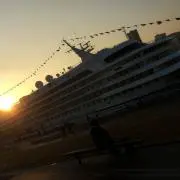 くまの画像