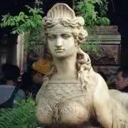 Chieの画像