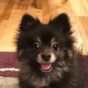yossyの画像