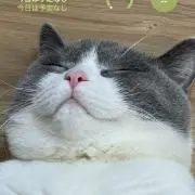 Asan