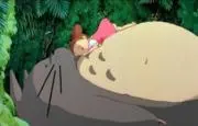 縁の画像