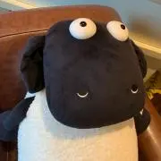 けのけのけの画像
