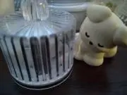 みはしYKOの画像