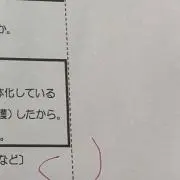ボンさんの画像