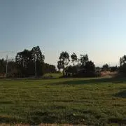 Satoruの画像