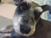 ぽんひろ