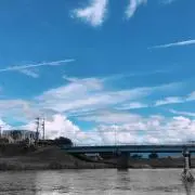 ずーみんの画像