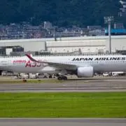 髭なしトトロ