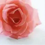 s♡まとめ買い値引き有の画像