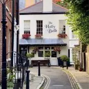 Hampstead girlの画像