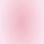 うさぎの画像