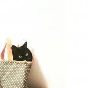 mi/haの画像