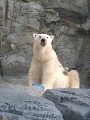 ☆みつあゆ☆の画像