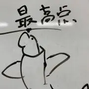 いるかの画像