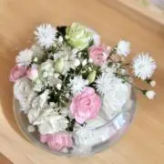 ronの画像