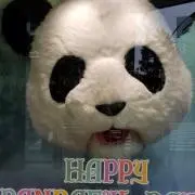ネコママの画像