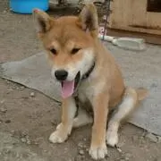 そらの画像
