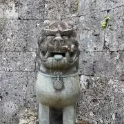 ☆☆☆