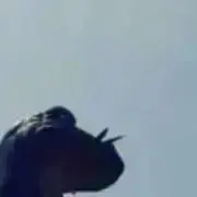 Kmの画像